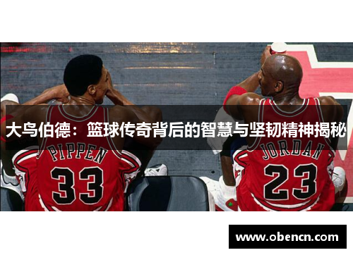 大鸟伯德：篮球传奇背后的智慧与坚韧精神揭秘